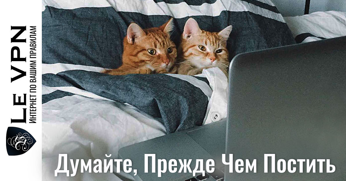 Интернет безопасность | анонимность в интернете | ВПН | Le VPN