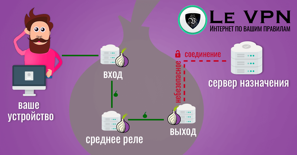 Что такое TOR браузер, зачем он нужен и как работает? | Le VPN | ВПН